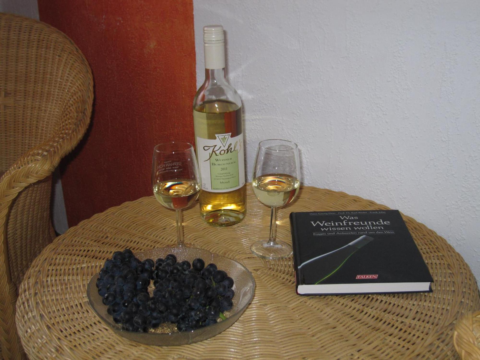 Weingut & Gaestehaus Stephan Kohl نيوماغين-دهرون المظهر الخارجي الصورة